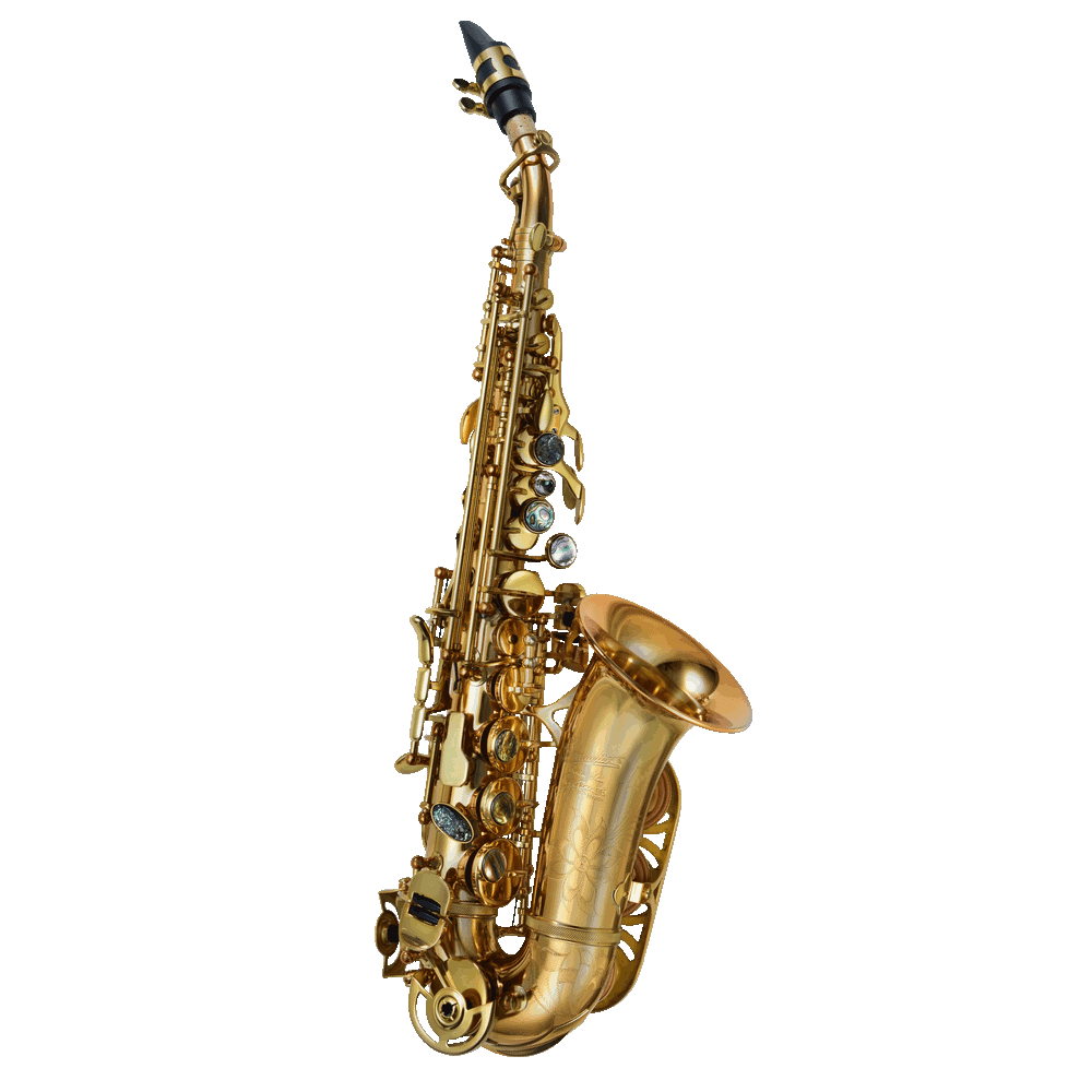 P. Mauriat System-76 Curved Soprano Saxophone
